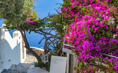 Top Attractions In Greece To Visit – Oia Village