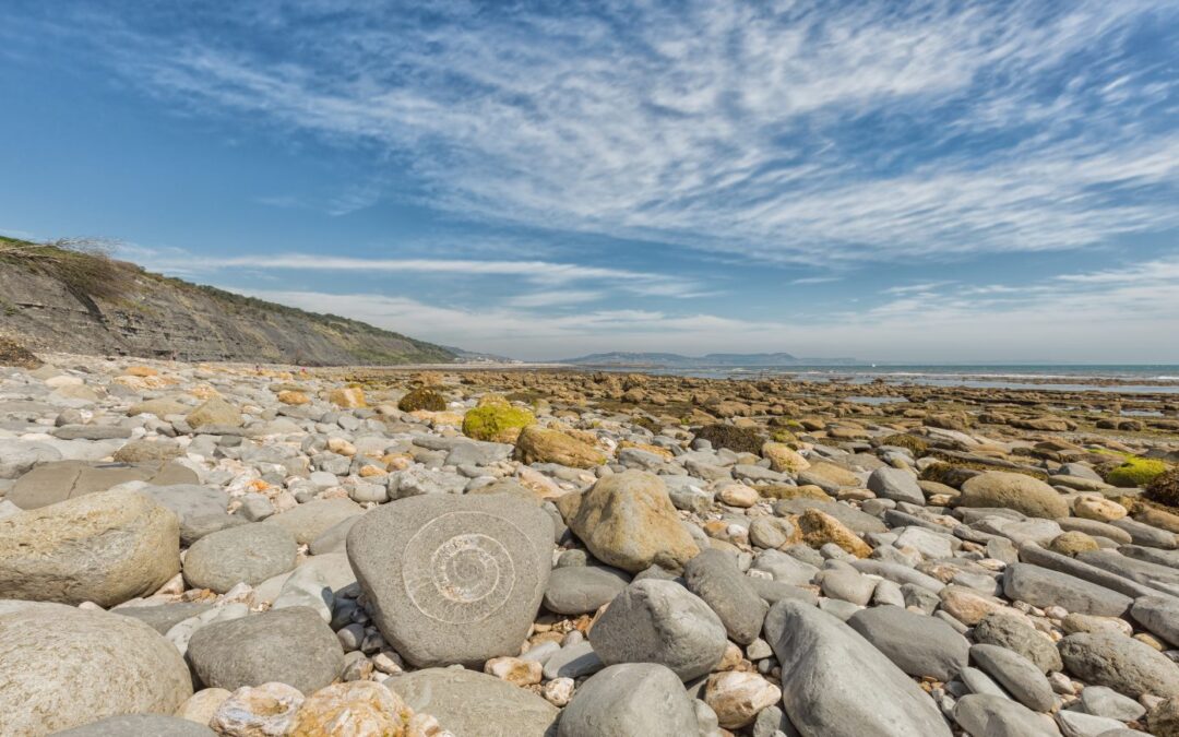 Dorset Jurassic Coast Highlights: 19 Must-Visit Coastal Spots